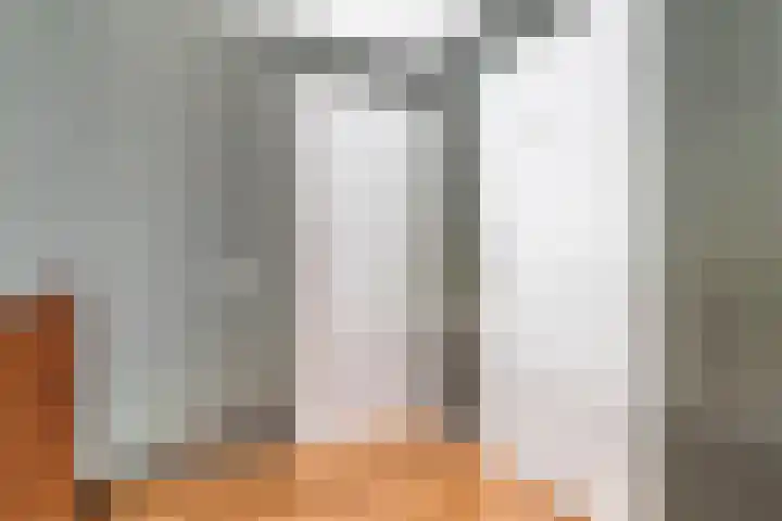 Hagebeam 5 Sweagerbosk thumbnail 60