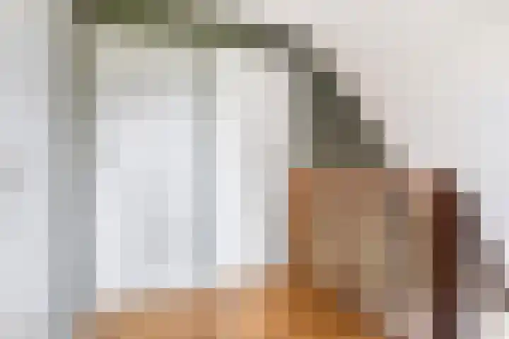 Hagebeam 5 Sweagerbosk thumbnail 61