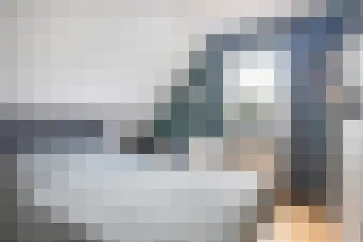 Hagebeam 5 Sweagerbosk thumbnail 67