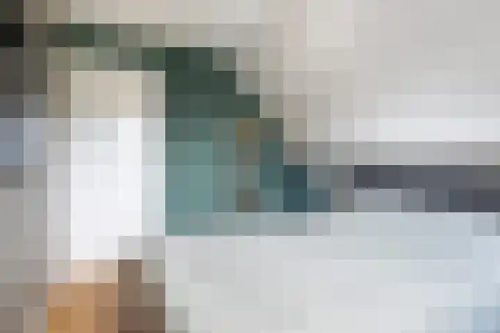 Hagebeam 5 Sweagerbosk thumbnail 68