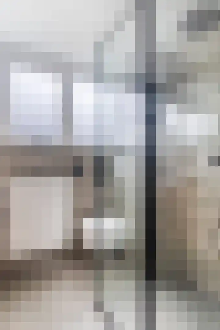 Hagebeam 5 Sweagerbosk thumbnail 69