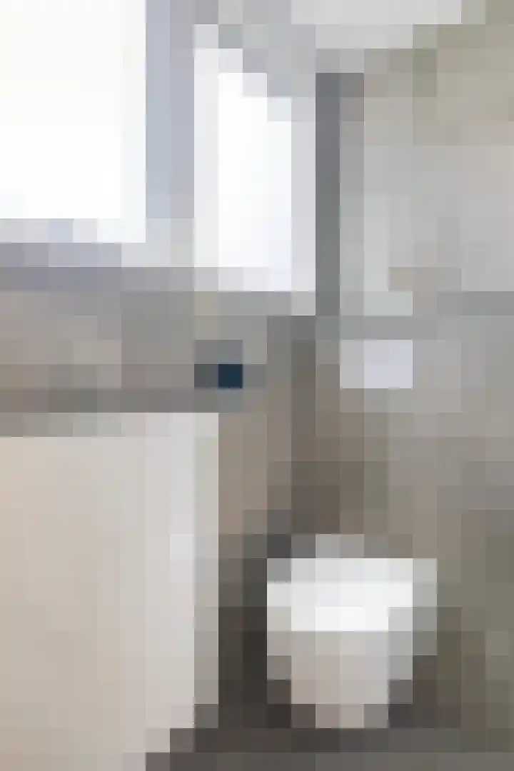 Hagebeam 5 Sweagerbosk thumbnail 72