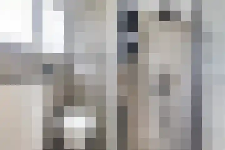 Hagebeam 5 Sweagerbosk thumbnail 73