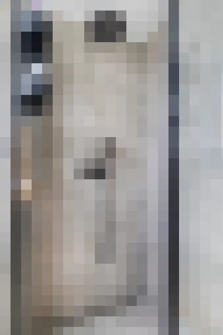Hagebeam 5 Sweagerbosk thumbnail 74