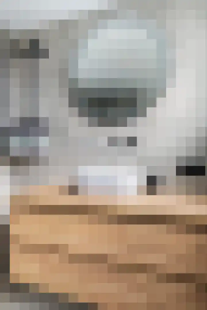Hagebeam 5 Sweagerbosk thumbnail 77