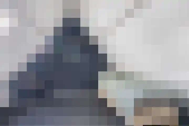 Hagebeam 5 Sweagerbosk thumbnail 78