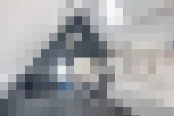 Hagebeam 5 Sweagerbosk thumbnail 79