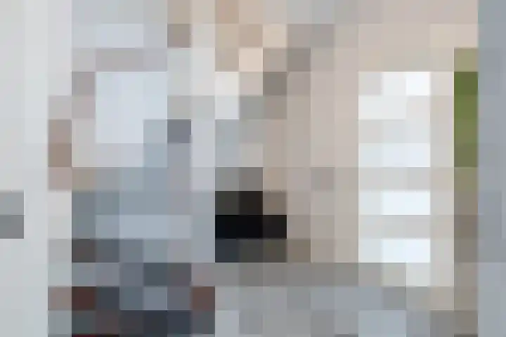 Hagebeemd 22 Oosterhout thumbnail 10