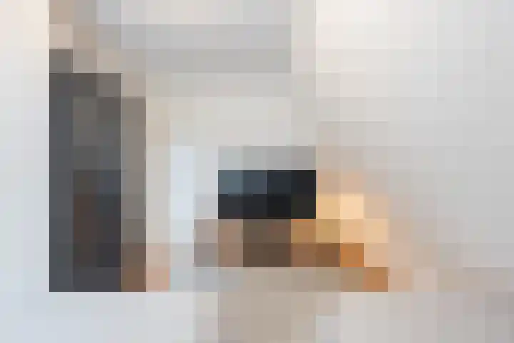 Hagebeemd 22 Oosterhout thumbnail 16