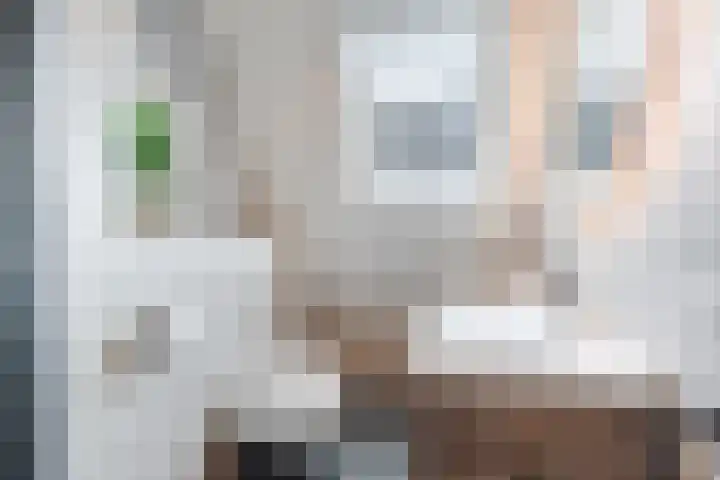 Hagebeemd 22 Oosterhout thumbnail 17