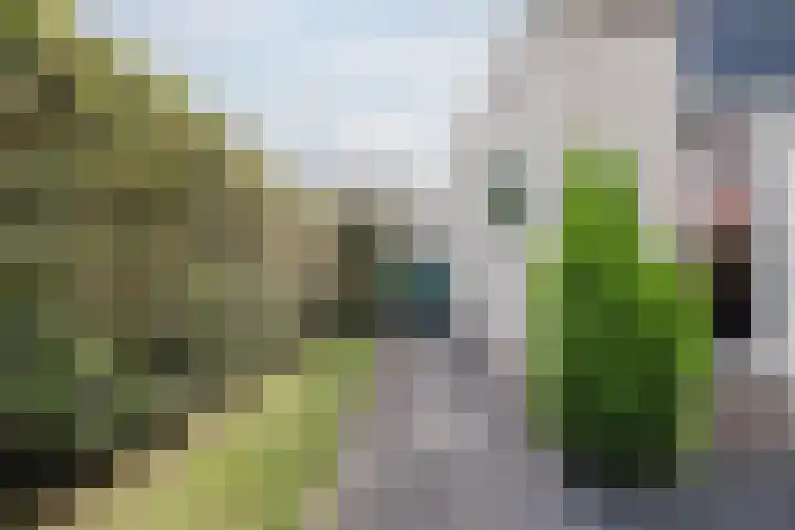 Hagebeemd 22 Oosterhout thumbnail 28