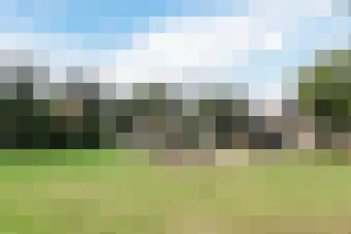 Hagebeemd 22 Oosterhout thumbnail 36