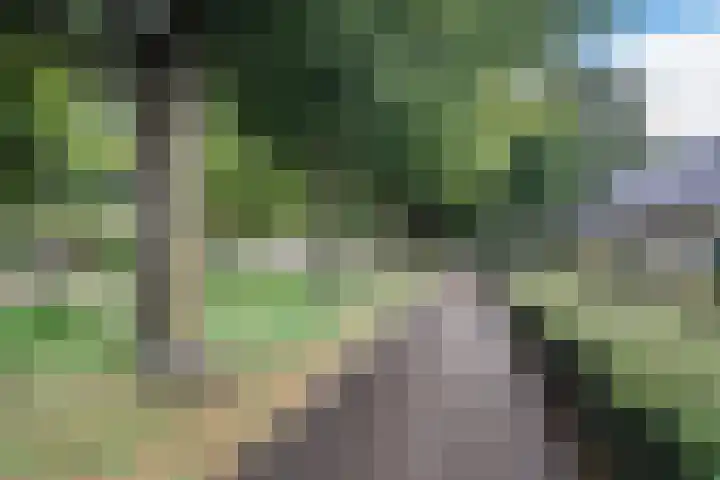 Hagebeemd 22 Oosterhout thumbnail 38