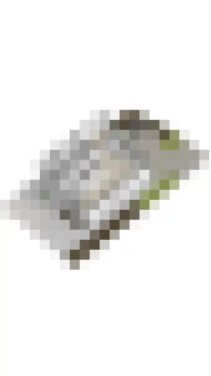 Hagebeemd 22 Oosterhout thumbnail 43