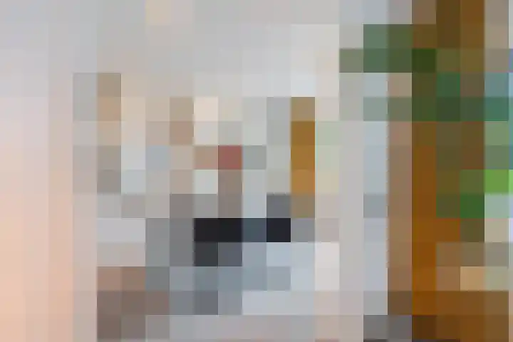 Hagebeemd 22 Oosterhout thumbnail 6