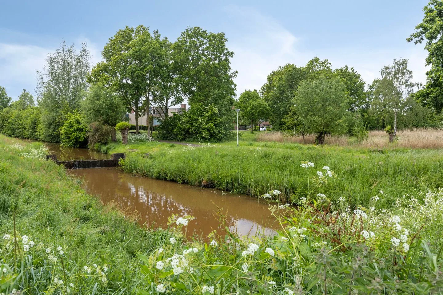 Hagedisberg 13 Roosendaal thumbnail 52
