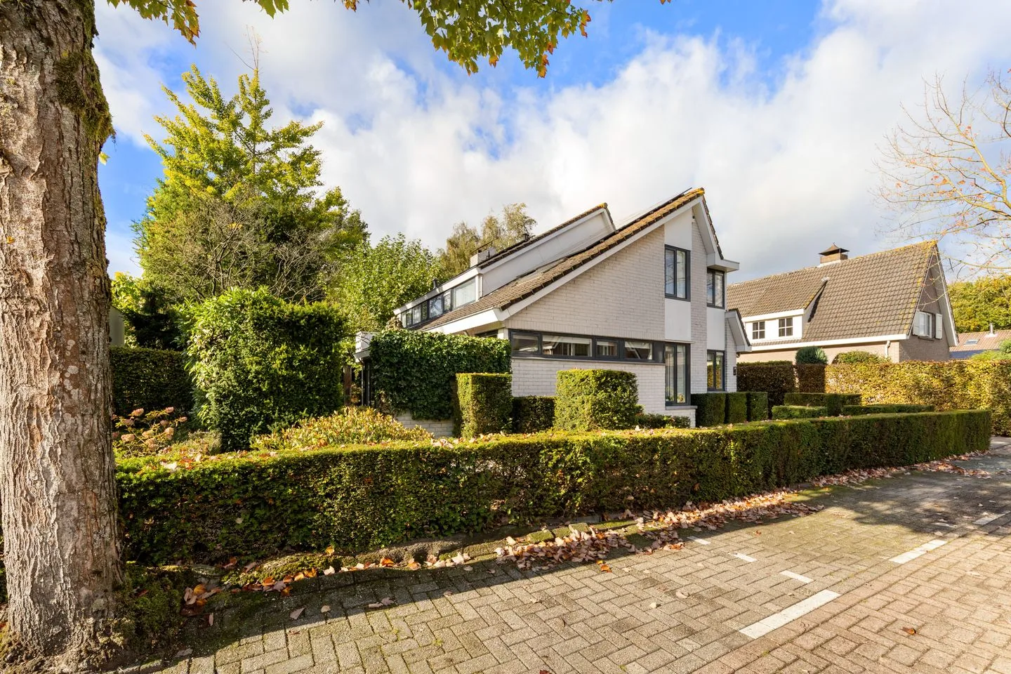 Hagedisberg 29 Roosendaal thumbnail 45