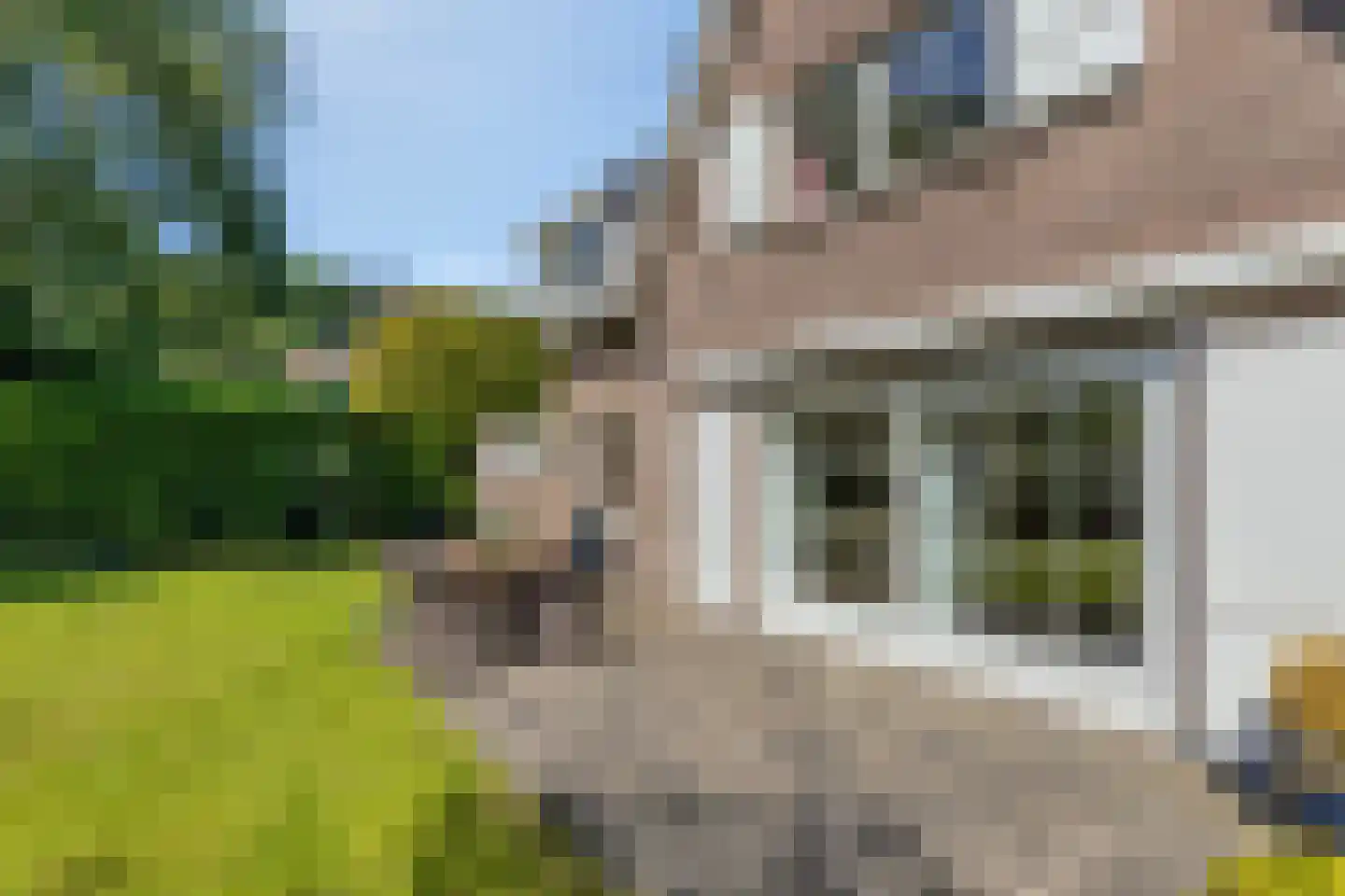 Hagedisberg 31 Roosendaal thumbnail 18