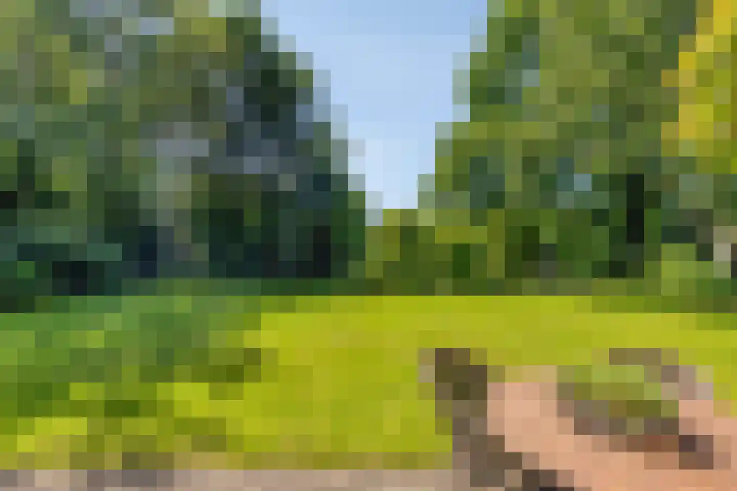 Hagedisberg 31 Roosendaal thumbnail 43