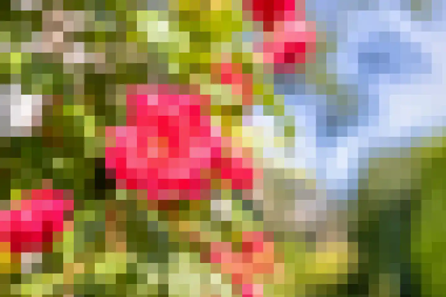Hagedisberg 31 Roosendaal thumbnail 46