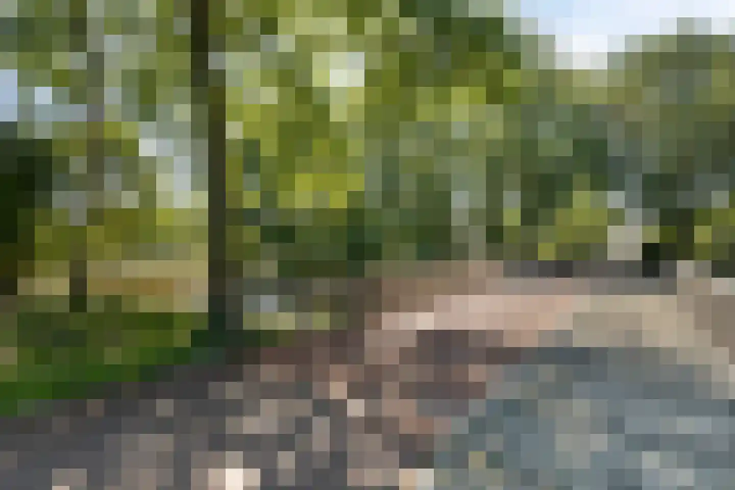 Hagedisberg 31 Roosendaal thumbnail 47
