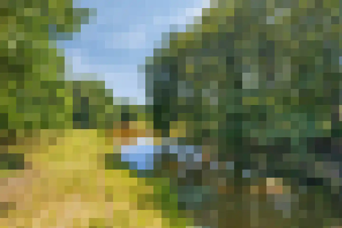 Hagedisberg 31 Roosendaal thumbnail 48