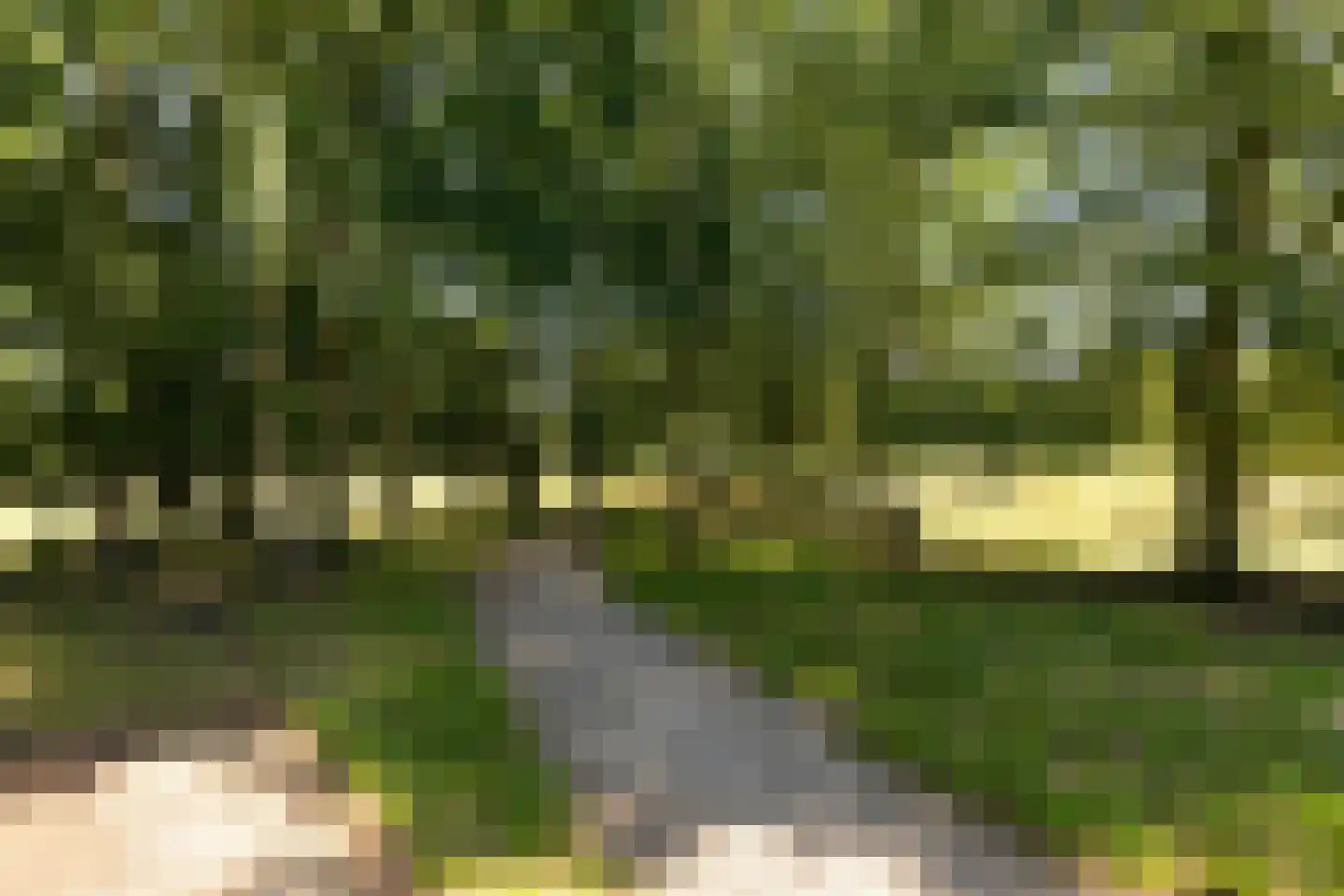 Hagedisberg 31 Roosendaal thumbnail 50