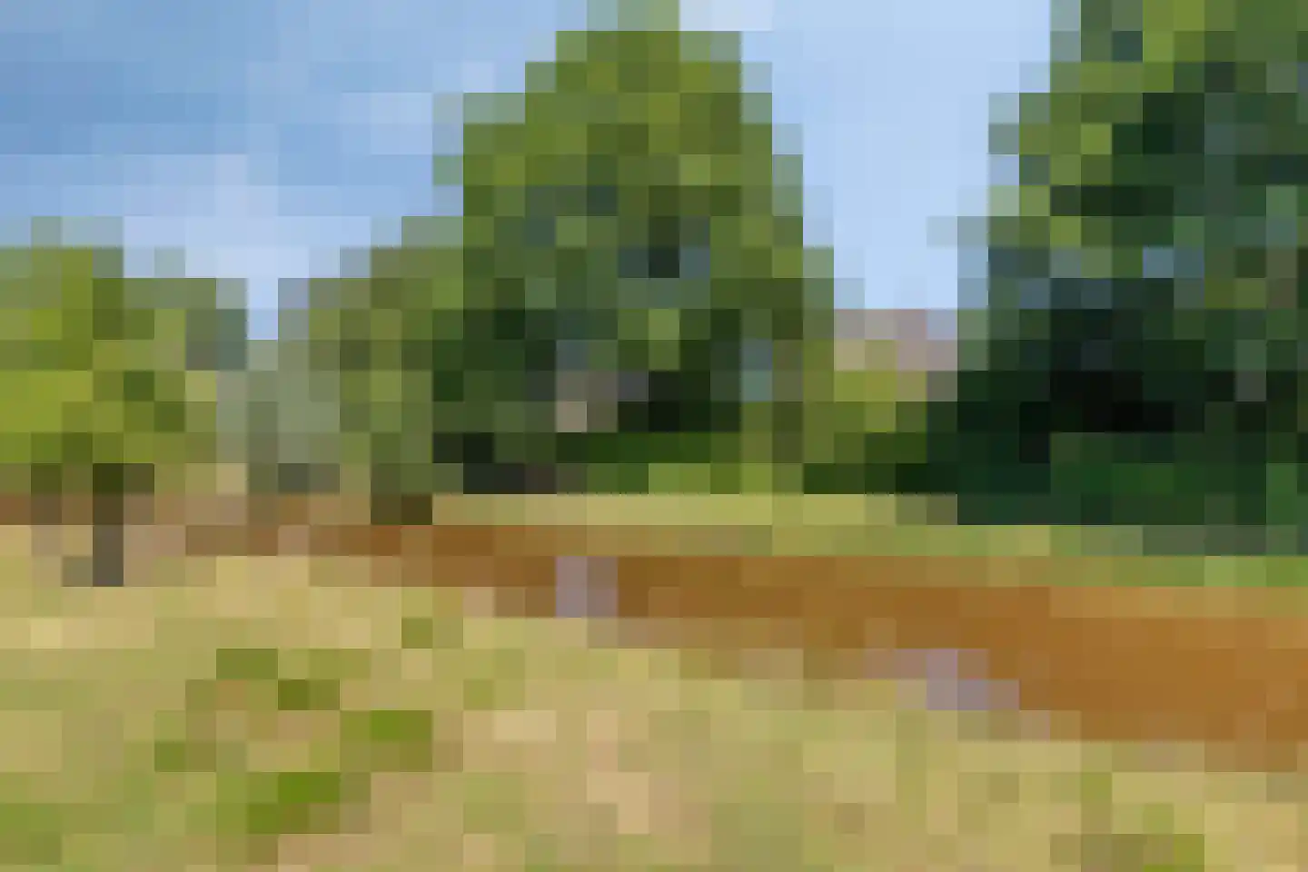 Hagedisberg 31 Roosendaal thumbnail 51