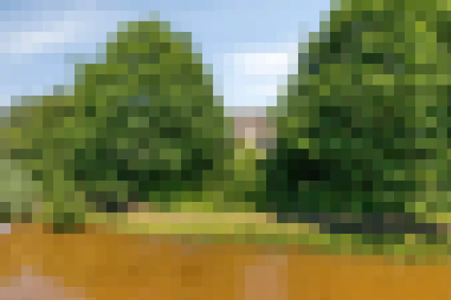 Hagedisberg 31 Roosendaal thumbnail 52