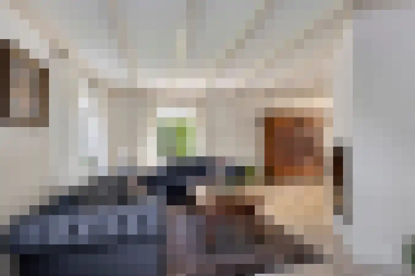 Hagedisberg 31 Roosendaal thumbnail 9