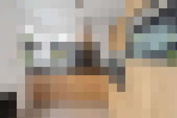 Hagedisberg 5 Roosendaal thumbnail 17