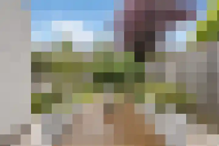 Hagedisberg 5 Roosendaal thumbnail 41