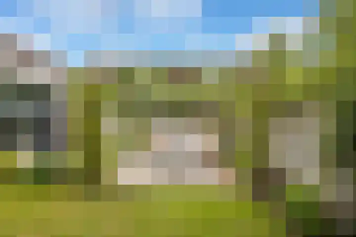 Hagedisberg 5 Roosendaal thumbnail 43