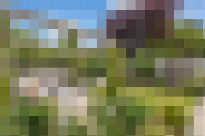 Hagedisberg 5 Roosendaal thumbnail 45