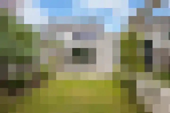 Hagedisberg 5 Roosendaal thumbnail 46