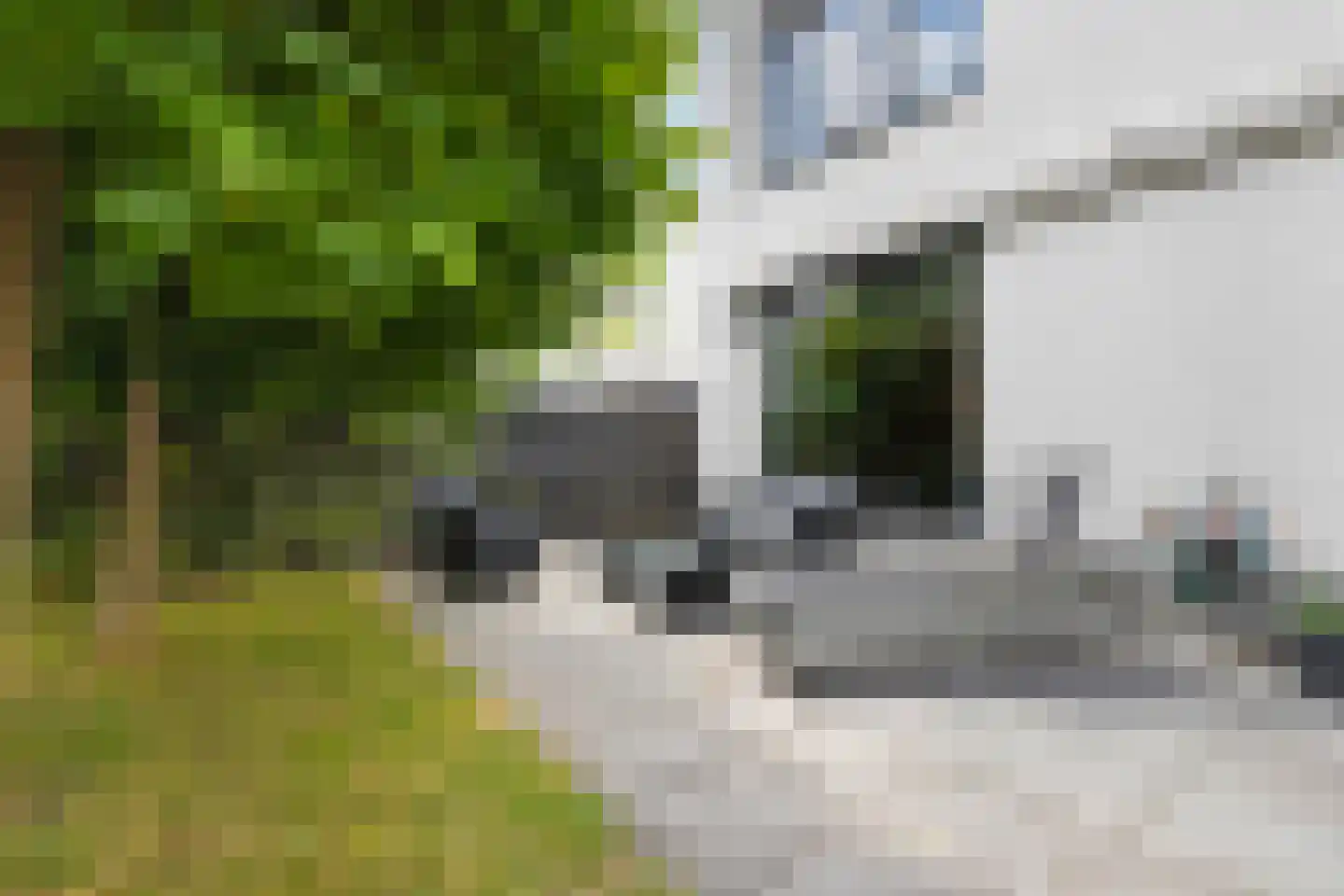 Hagedisstraat 19 Almere thumbnail 36