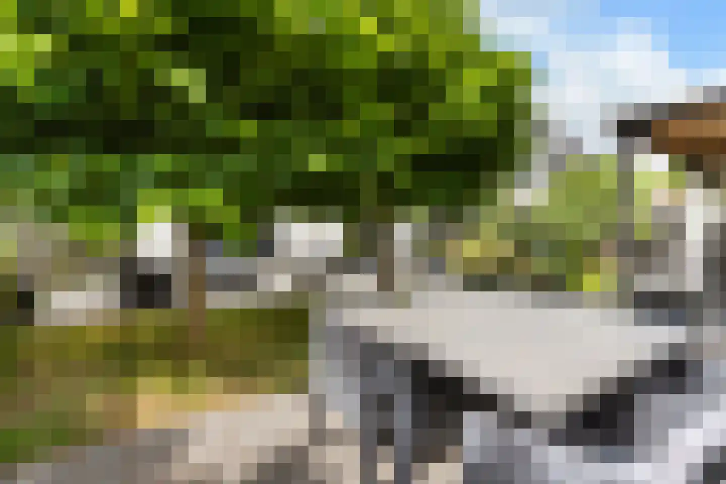 Hagedisstraat 19 Almere thumbnail 41