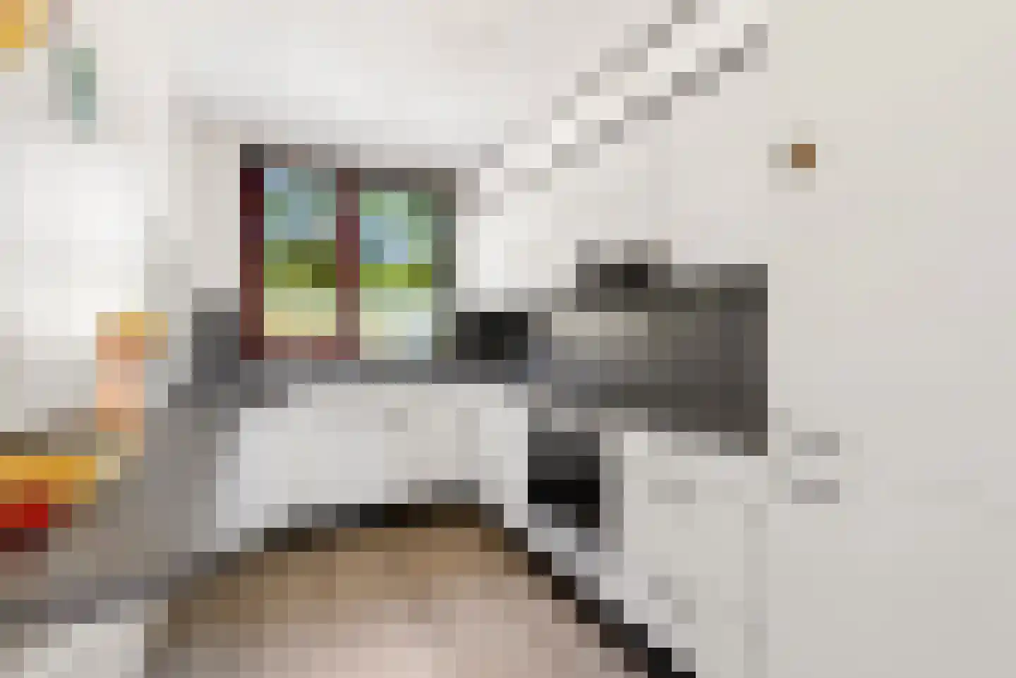 Hagedisstraat 25 Almere thumbnail 19