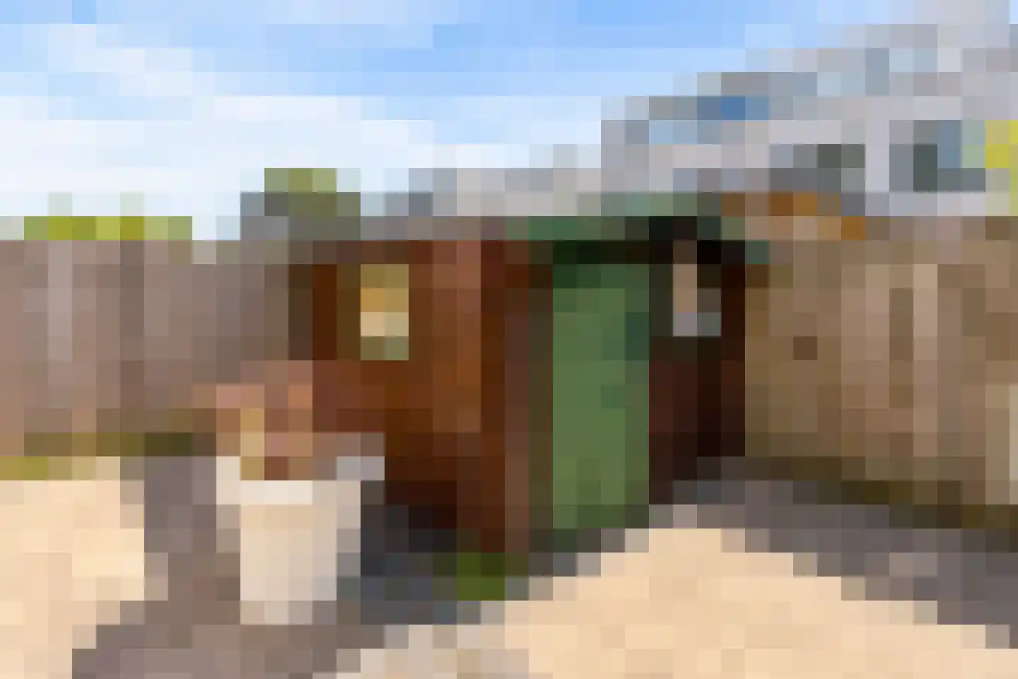 Hagedisstraat 25 Almere thumbnail 46