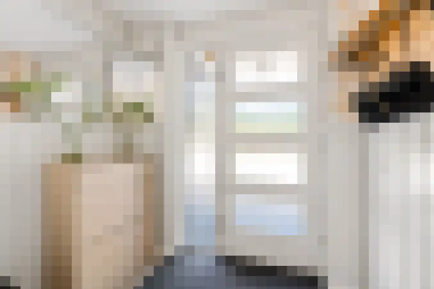 Hagedisstraat 25 Almere thumbnail 6