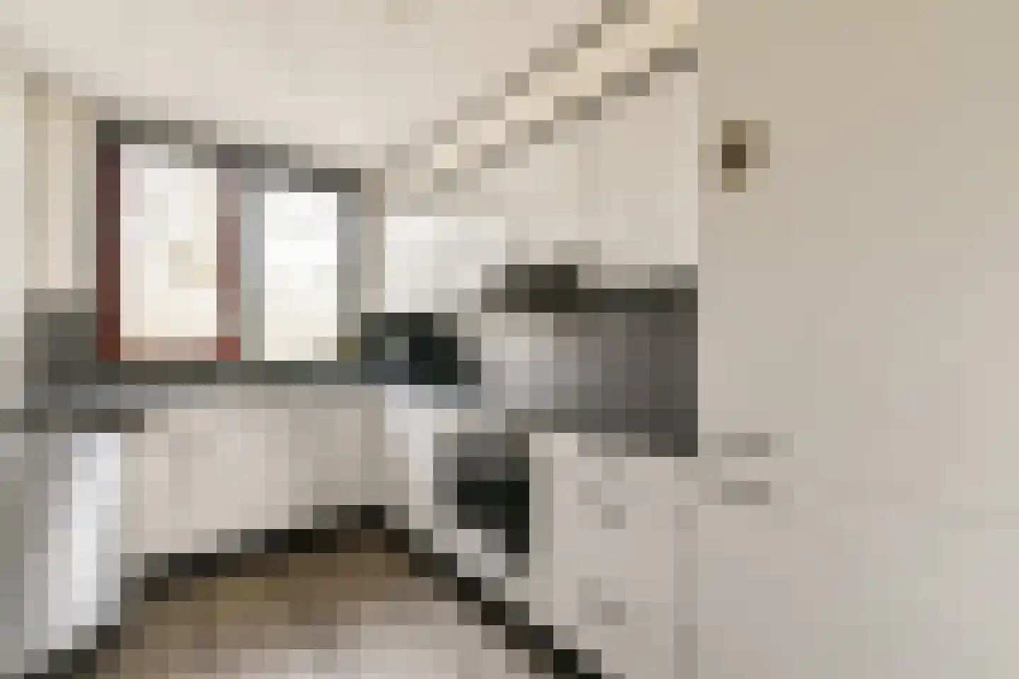 Hagedisstraat 25 Almere thumbnail 7