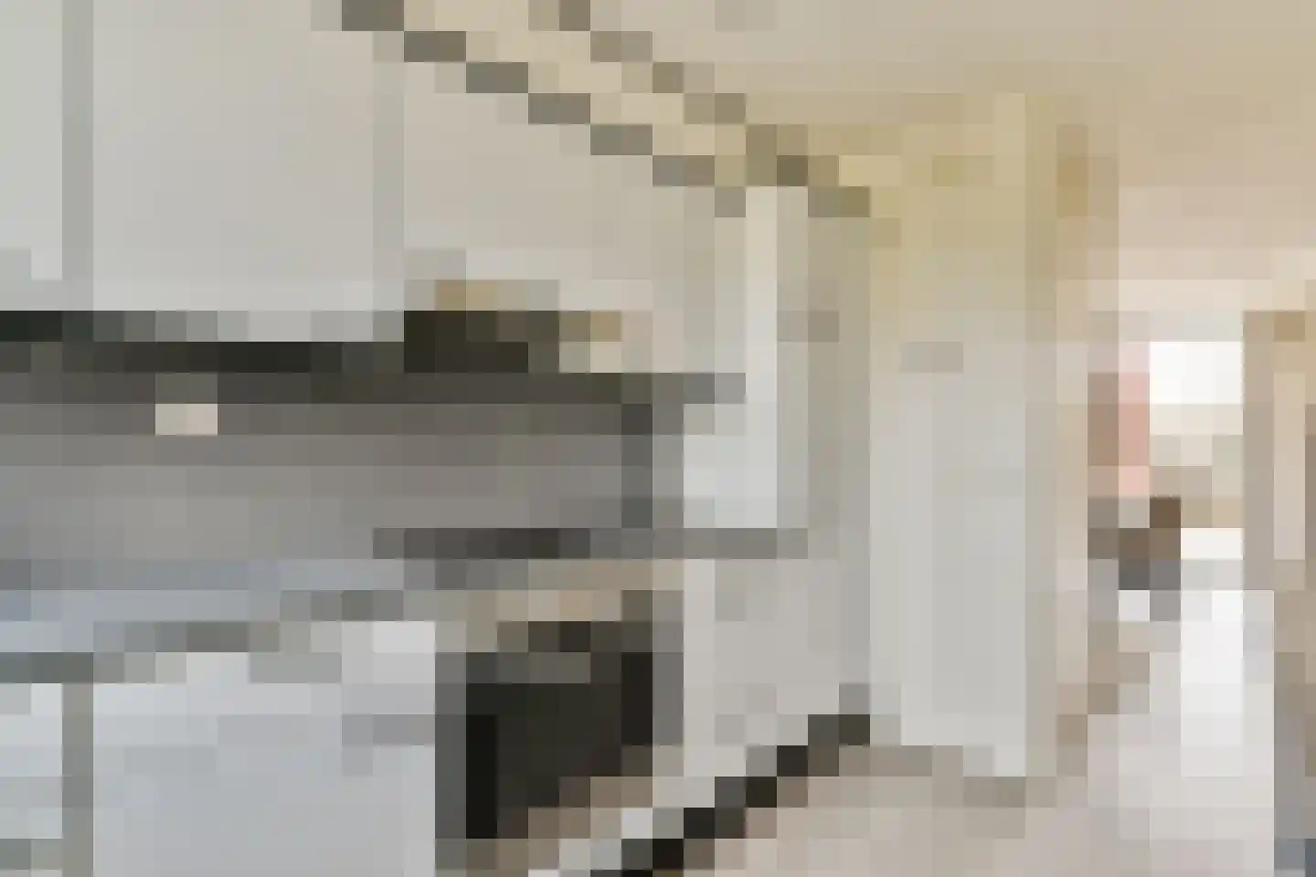 Hagedisstraat 25 Almere thumbnail 9