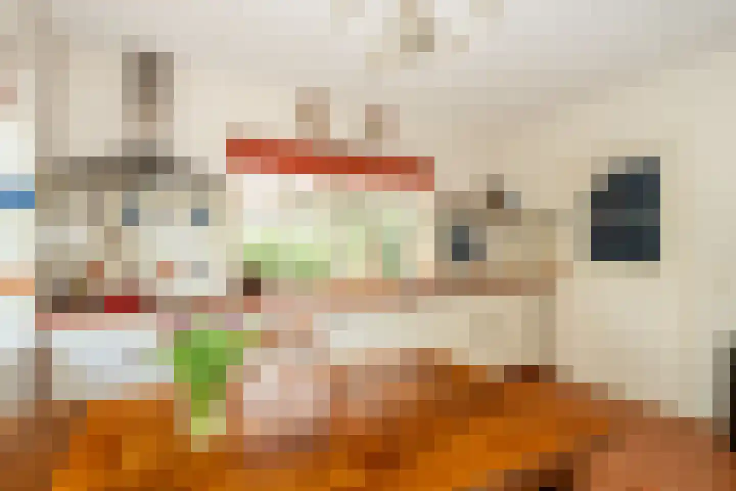 Hagedisweg 1 A Epe thumbnail 11