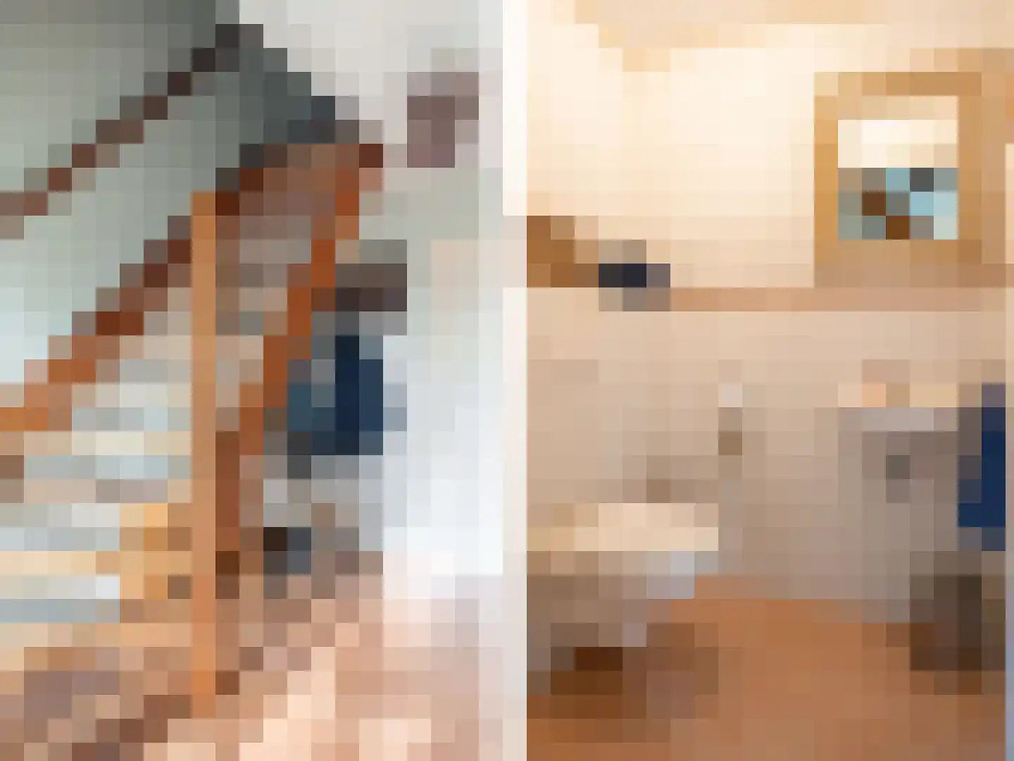 Hagedisweg 1 A Epe thumbnail 18