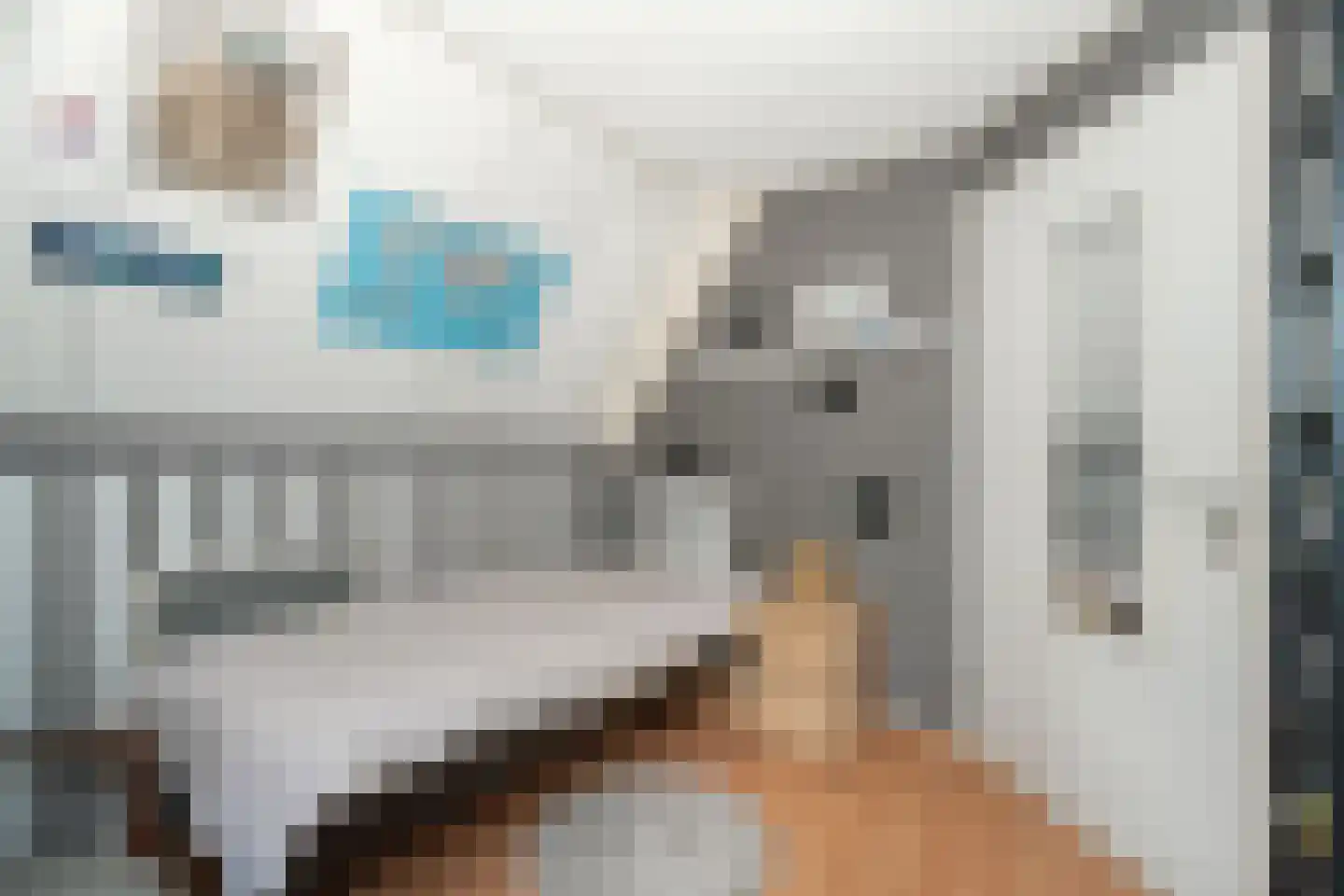 Hagedisweg 1 A Epe thumbnail 22