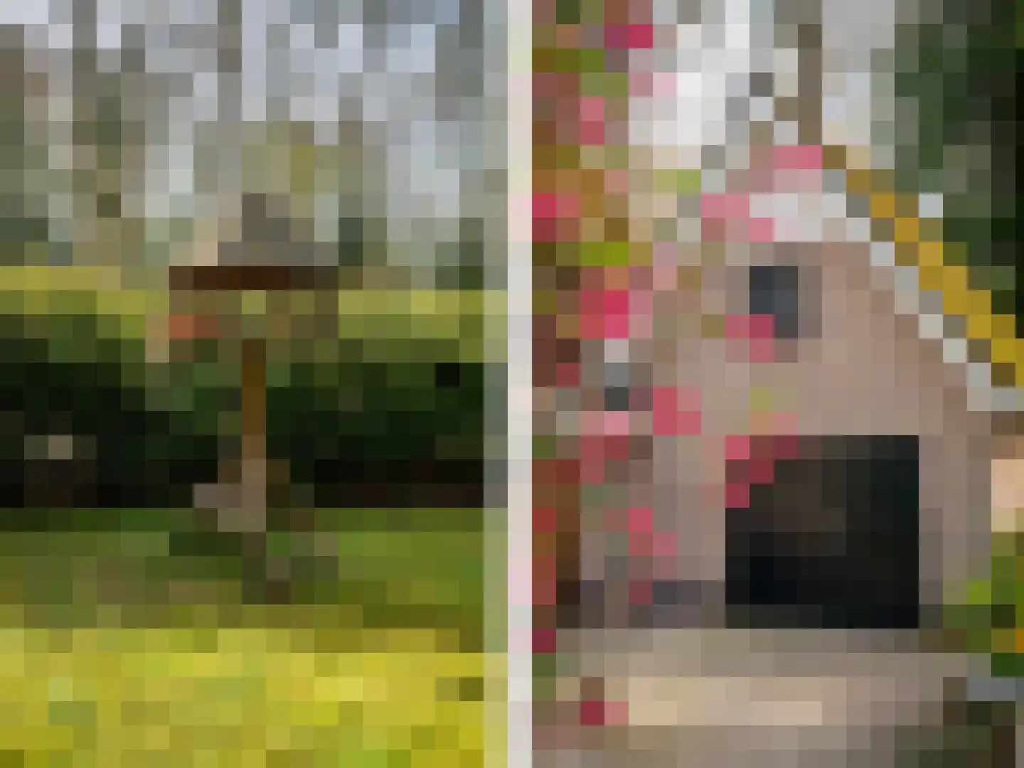 Hagedisweg 1 A Epe thumbnail 28