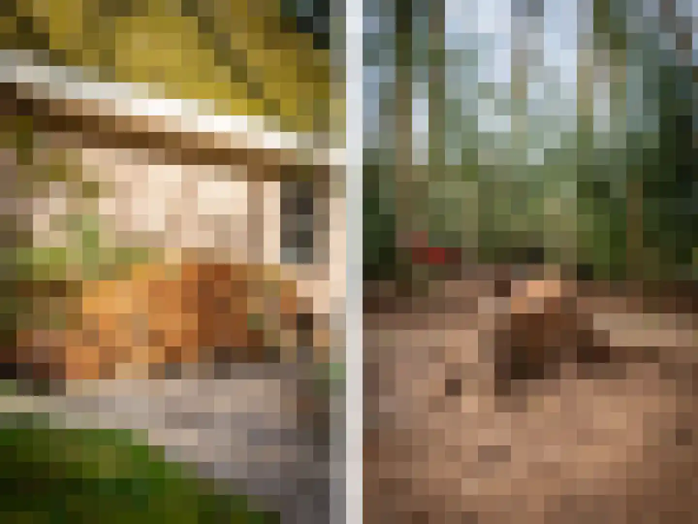 Hagedisweg 1 A Epe thumbnail 31