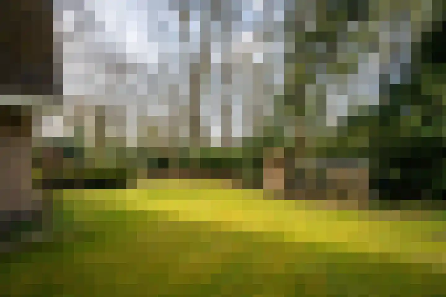 Hagedisweg 1 A Epe thumbnail 33