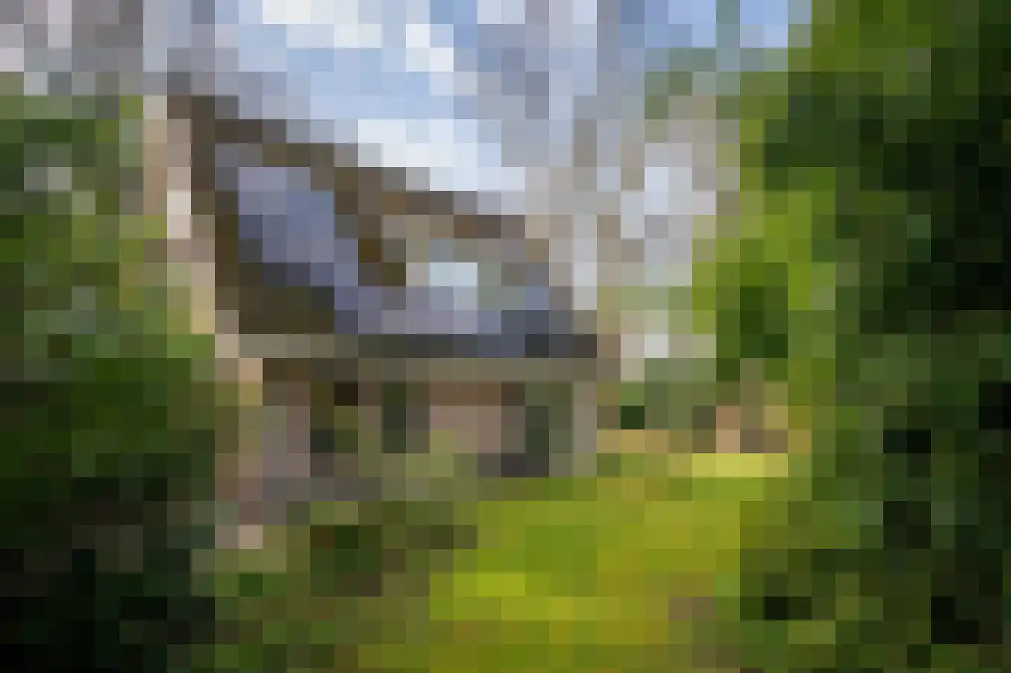 Hagedisweg 1 A Epe thumbnail 35