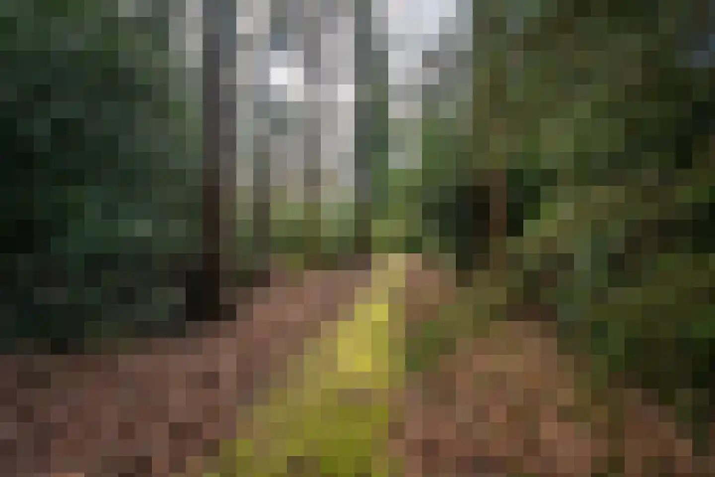 Hagedisweg 1 A Epe thumbnail 36